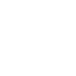 Burned-Wood.png