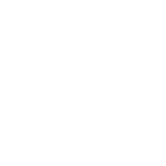 Burned-Wood.png